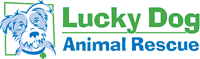 Lucky Dog Animal Rescue