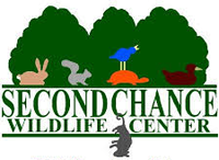 Second Chance Wildlife Center